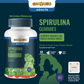 Gumazing Spirulina Gummies (For Adults) |(60 pcs) - B2B