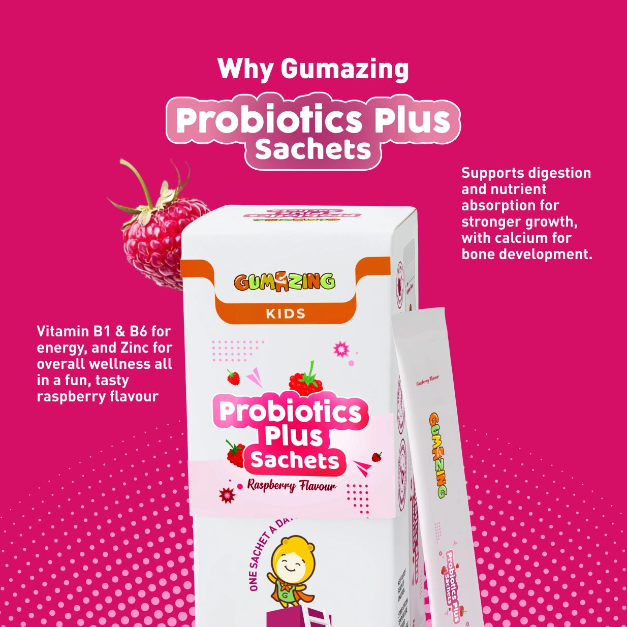 <tc>غومازينغ</tc> أكياس بروبيوتيك بلس بالجملة - B2B