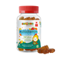 Gumazing Multivitamin Gummies (60 pcs), 1 month supply for wholesale